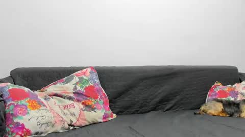 Misha online show from 3, 2, 2025