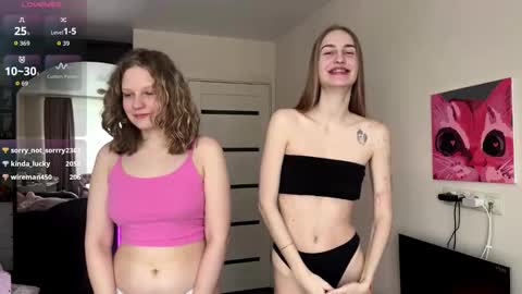 Snapshot of devpip chatting on 22, 2, 2026 Pippi online show from 22, 2, 2026