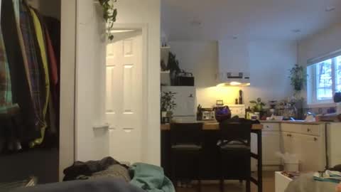 dex12112111 online show from 12, 3, 2026