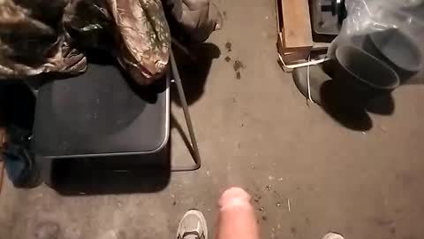 dgjikh online show from 5, 3, 2026