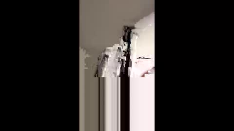 Snapshot of dickdiesel1989 chatting on 2, 11, 2025 dickdiesel1989 online show from 2, 11, 2025