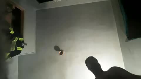 Snapshot of dickybigball chatting on 9, 10, 2025 dickybigball online show from 9, 10, 2025