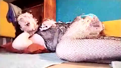 Dicky online show from 1, 3, 2025