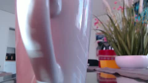 Snapshot of didiegal1 chatting on 4, 3, 2026 squirtcock online show from 4, 3, 2026