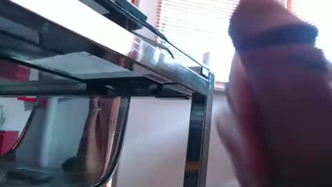 Snapshot of didiegal1 chatting on 19, 3, 2026 squirtcock online show from 19, 3, 2026