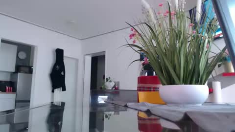 Snapshot of didiegal1 chatting on 31, 3, 2026 squirtcock online show from 31, 3, 2026