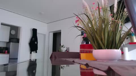 Snapshot of didiegal1 chatting on 2, 4, 2026 squirtcock online show from 2, 4, 2026