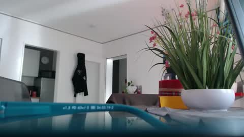 Snapshot of didiegal1 chatting on 5, 4, 2026 squirtcock online show from 5, 4, 2026