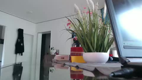 Snapshot of didiegal1 chatting on 12, 4, 2026 squirtcock online show from 12, 4, 2026