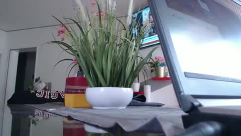 Snapshot of didiegal1 chatting on 6, 5, 2026 squirtcock online show from 6, 5, 2026