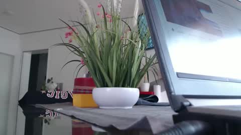 Snapshot of didiegal1 chatting on 14, 5, 2026 squirtcock online show from 14, 5, 2026