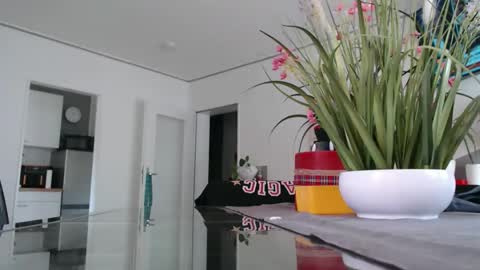 Snapshot of didiegal1 chatting on 17, 5, 2026 squirtcock online show from 17, 5, 2026