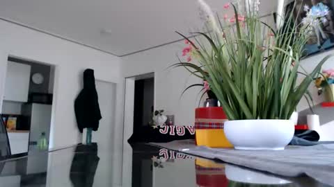 Snapshot of didiegal1 chatting on 31, 5, 2026 squirtcock online show from 31, 5, 2026