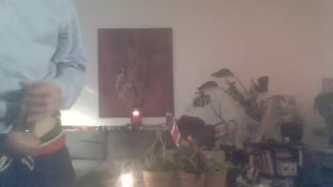 didierhobiecat16 online show from 12, 1, 2026