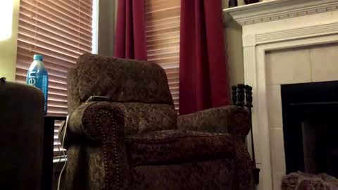 diegodavids online show from 31, 1, 2025