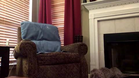 diegodavids online show from 6, 2, 2025