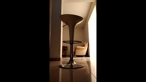 Diego online show from 14, 3, 2026