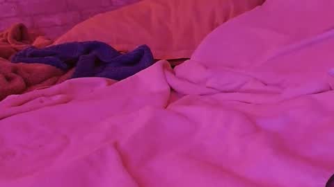 dildobandit online show from 15, 2, 2026