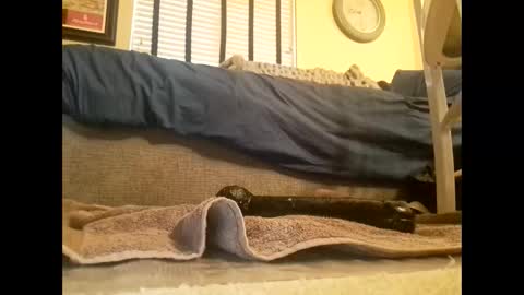 Snapshot of dildosnme22 chatting on 10, 3, 2025 dildosnme22 online show from 10, 3, 2025