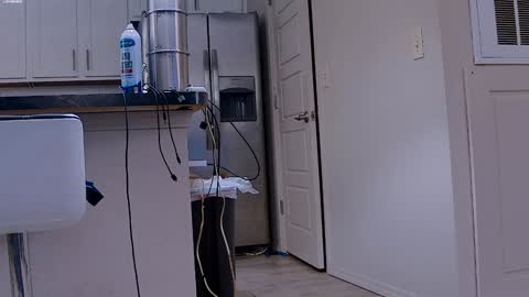 Dilldough405 online show from 29, 1, 2025