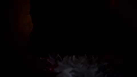 dingler523482 online show from 17, 12, 2025