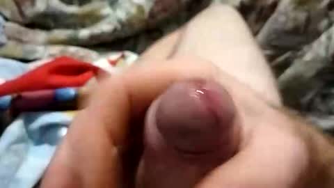 dingo_250 online show from 19, 9, 2025