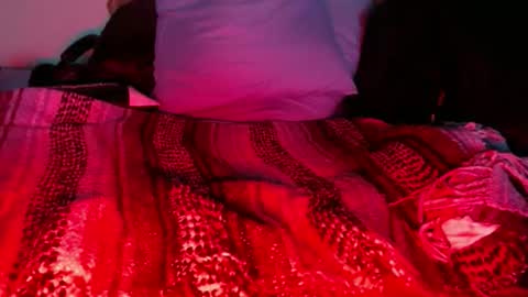 Snapshot of dino9999999 chatting on 27, 2, 2026 dino9999999 online show from 27, 2, 2026