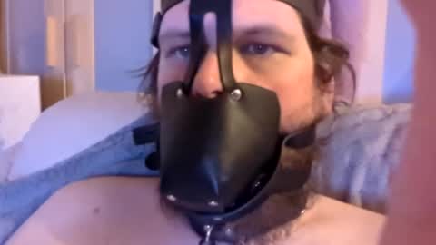 Snapshot of dirtydogsday chatting on 15, 1, 2025 Dirtydog online show from 15, 1, 2025