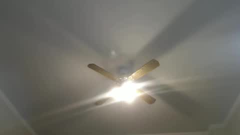 Your Best Worst Nightmare online show from 12, 1, 2025