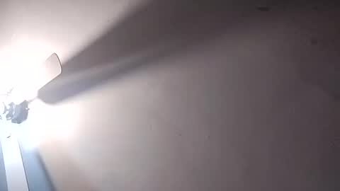 Snapshot of dixonbird41 chatting on 25, 2, 2025 dixonbird41 online show from 25, 2, 2025