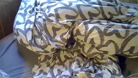 DKdad online show from 6, 4, 2026