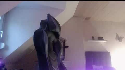 Snapshot of doggy2629 chatting on 6, 1, 2026 doggy2629 online show from 6, 1, 2026