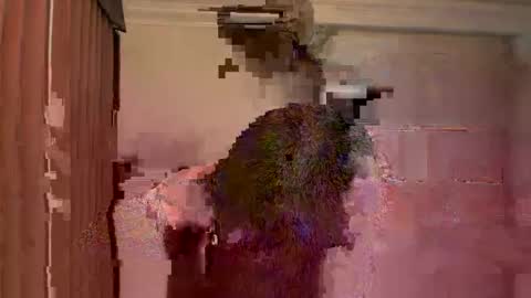 GIJO online show from 15, 3, 2026