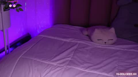 Dolcexx online show from 13, 1, 2026