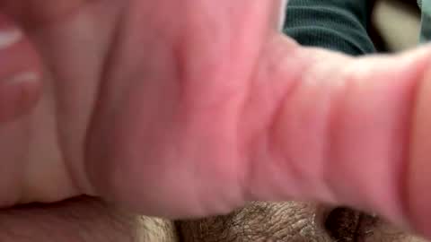 dollasign69b online show from 24, 3, 2026