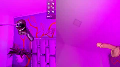 Snapshot of dollymae_ chatting on 21, 7, 2026 Mae online show from 21, 7, 2026