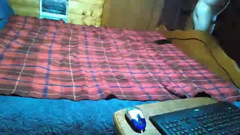 Snapshot of dolomois chatting on 12, 2, 2025 dolomois online show from 12, 2, 2025