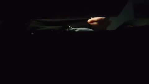 domcook147 online show from 4, 1, 2025