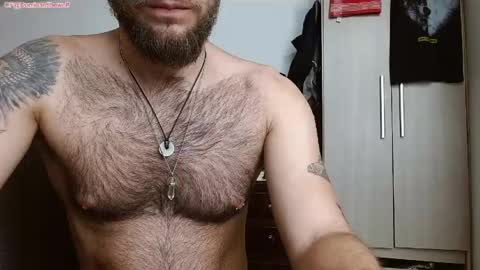 Snapshot of dominantthewolf chatting on 21, 5, 2026 Logan - INDEPENDET MODEL online show from 21, 5, 2026