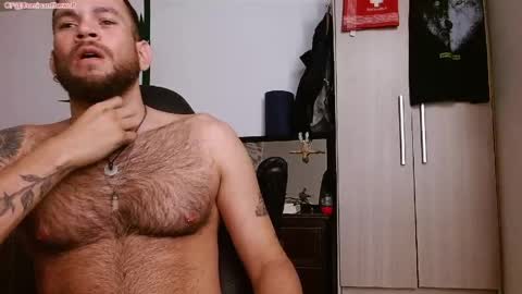 Snapshot of dominantthewolf chatting on 24, 5, 2026 Logan - INDEPENDET MODEL online show from 24, 5, 2026