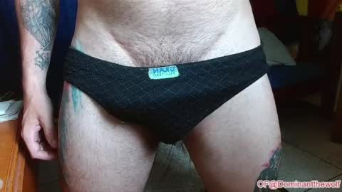 Snapshot of dominantthewolf chatting on 27, 5, 2026 Logan - INDEPENDET MODEL online show from 27, 5, 2026