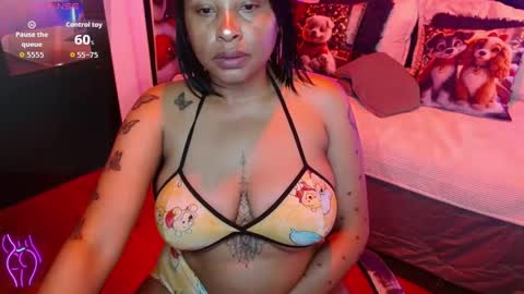  D O M I N K  online show from 3, 12, 2025