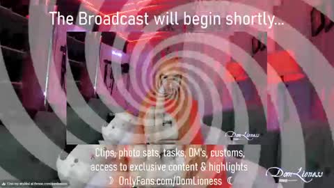 Snapshot of domlioness chatting on 31, 10, 2025 DomLioness online show from 31, 10, 2025