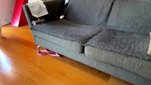 Alfredo online show from 24, 9, 2025