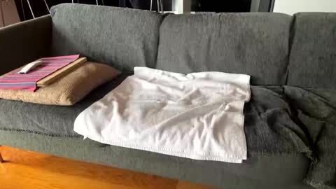 Alfredo online show from 7, 10, 2025