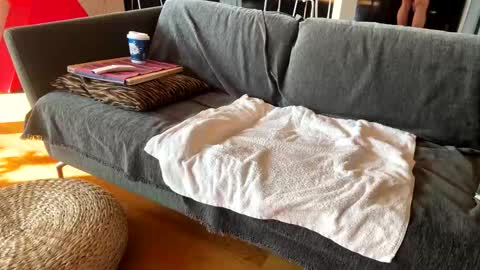 Alfredo online show from 13, 11, 2025