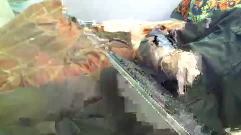 Snapshot of dorsetbiker714 chatting on 18, 4, 2026 Hello welcome to Slutsville I am the Naked Chef really but you may call me Peter online show from 18, 4, 2026