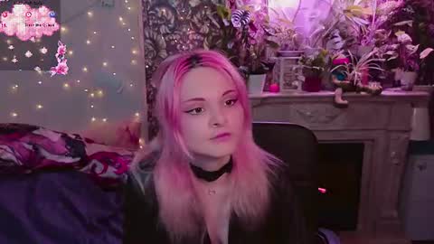 DiBi online show from 29, 6, 2026
