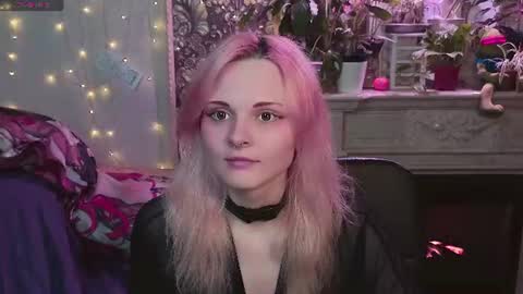 DiBi online show from 2, 7, 2026