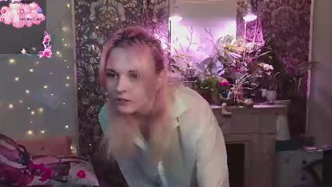 DiBi online show from 7, 7, 2026